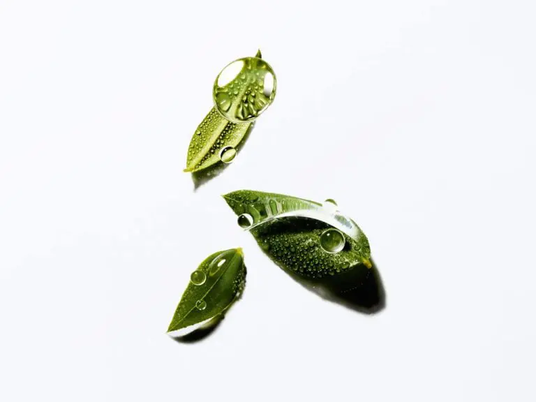 Product feature