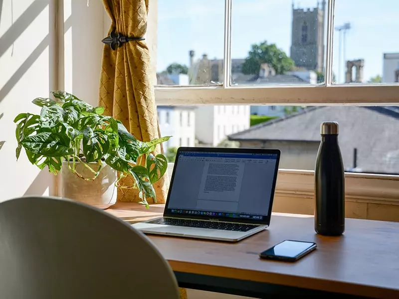 Home office пlants